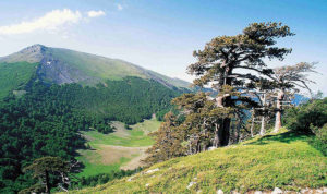 Parco del Pollino